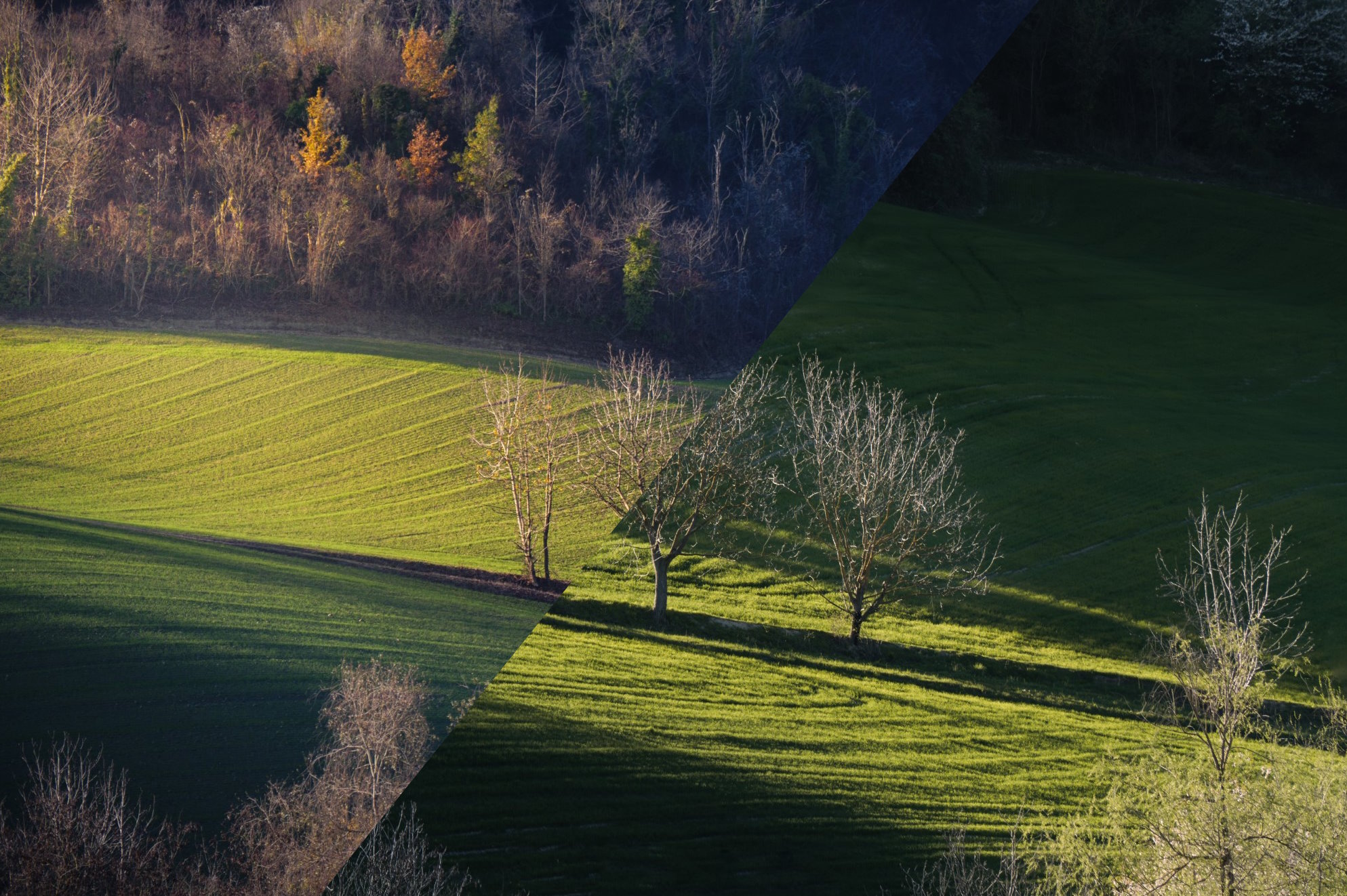 The Remake of A Photo